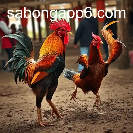 Sabong App and the Rising Popularity of Online Cockfighting
